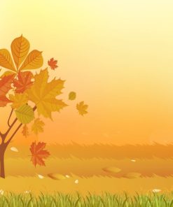 La Caisse de 6 qui Cartonne en Septembre