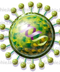 VIRUS